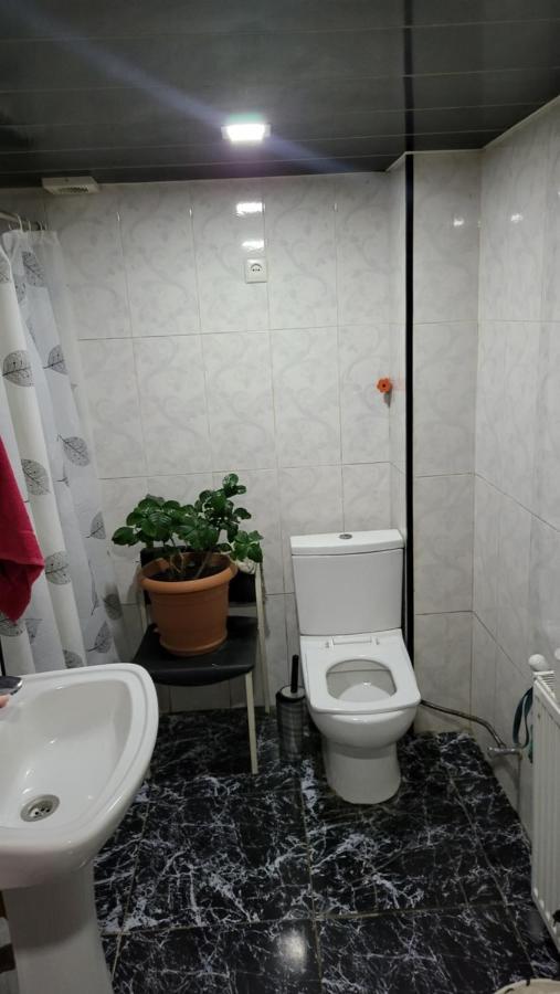 Happy Pandasn12 Hotel Borjomi Luaran gambar